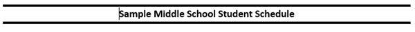 Sample MS Student Schedule 